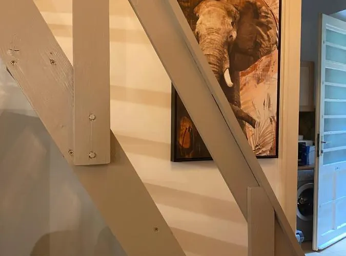 Apartmán s 1 ložnicí