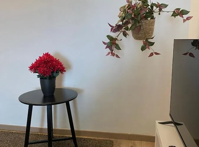 Apartmán s 1 ložnicí